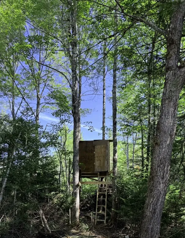 The box blind Rob built with a buddy